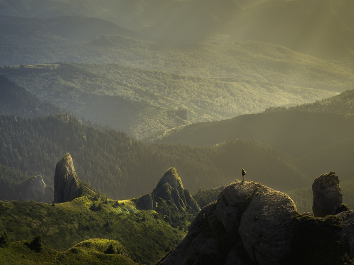 Nature landscape